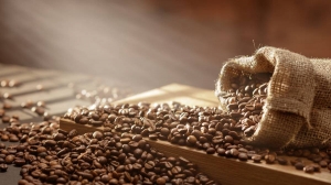 Reasons To Choose Organic And Fair Trade Coffee Beans